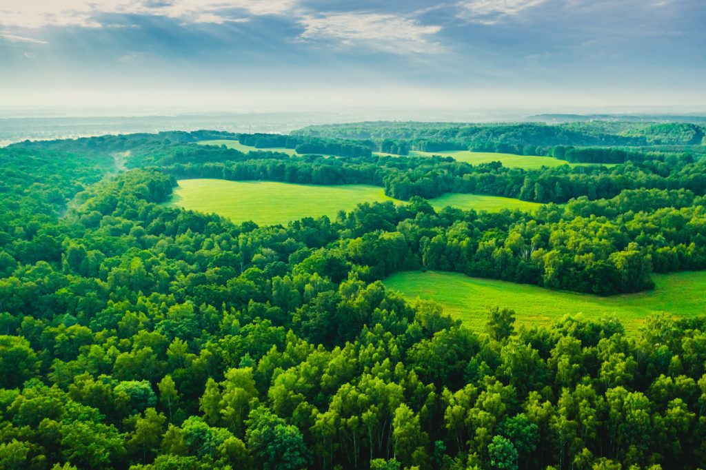 Forest aerial view Drone photography Spring Field Sustainability Protection of nature - RCI2 - RCI2